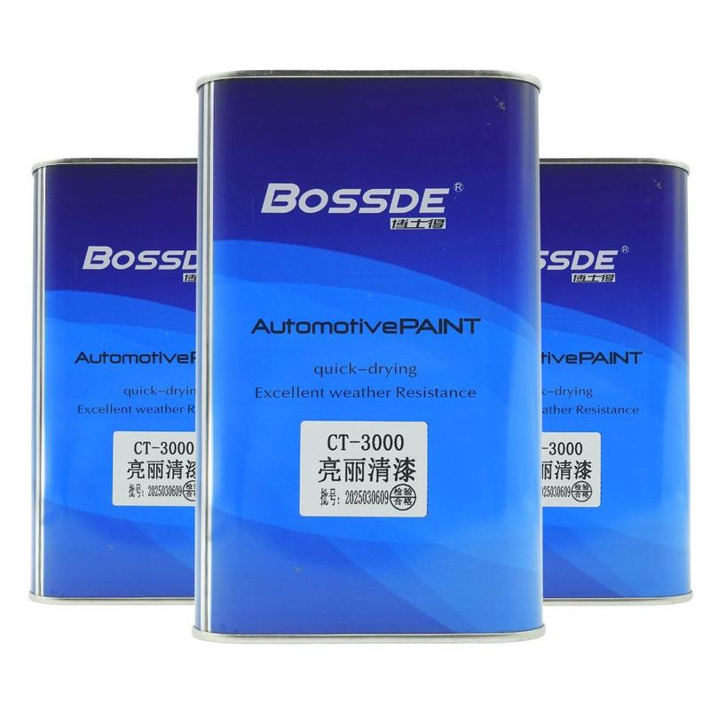 Premium Gloss Long Lasting Finish Automotive Paint 1L 12 Units Clear Coat Car Paint